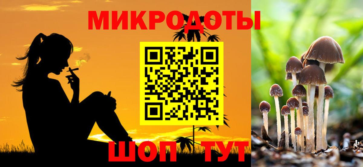 Псилоцибиновые грибы мицелий Кушва